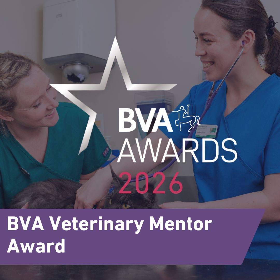 BVA Veterinary Mentor Award Image