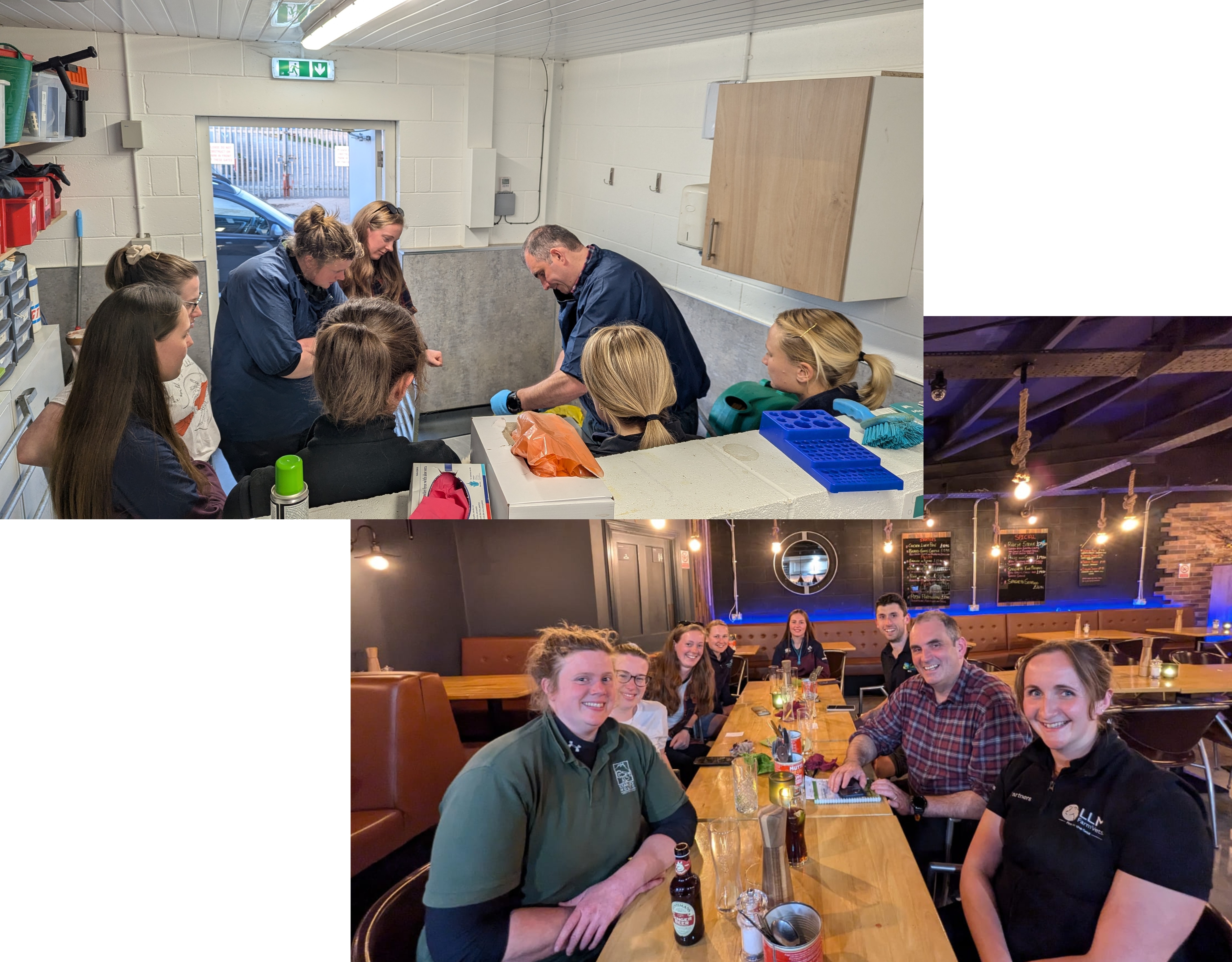 North West CPD event: necropsies, sampling and getting the most from labs Image