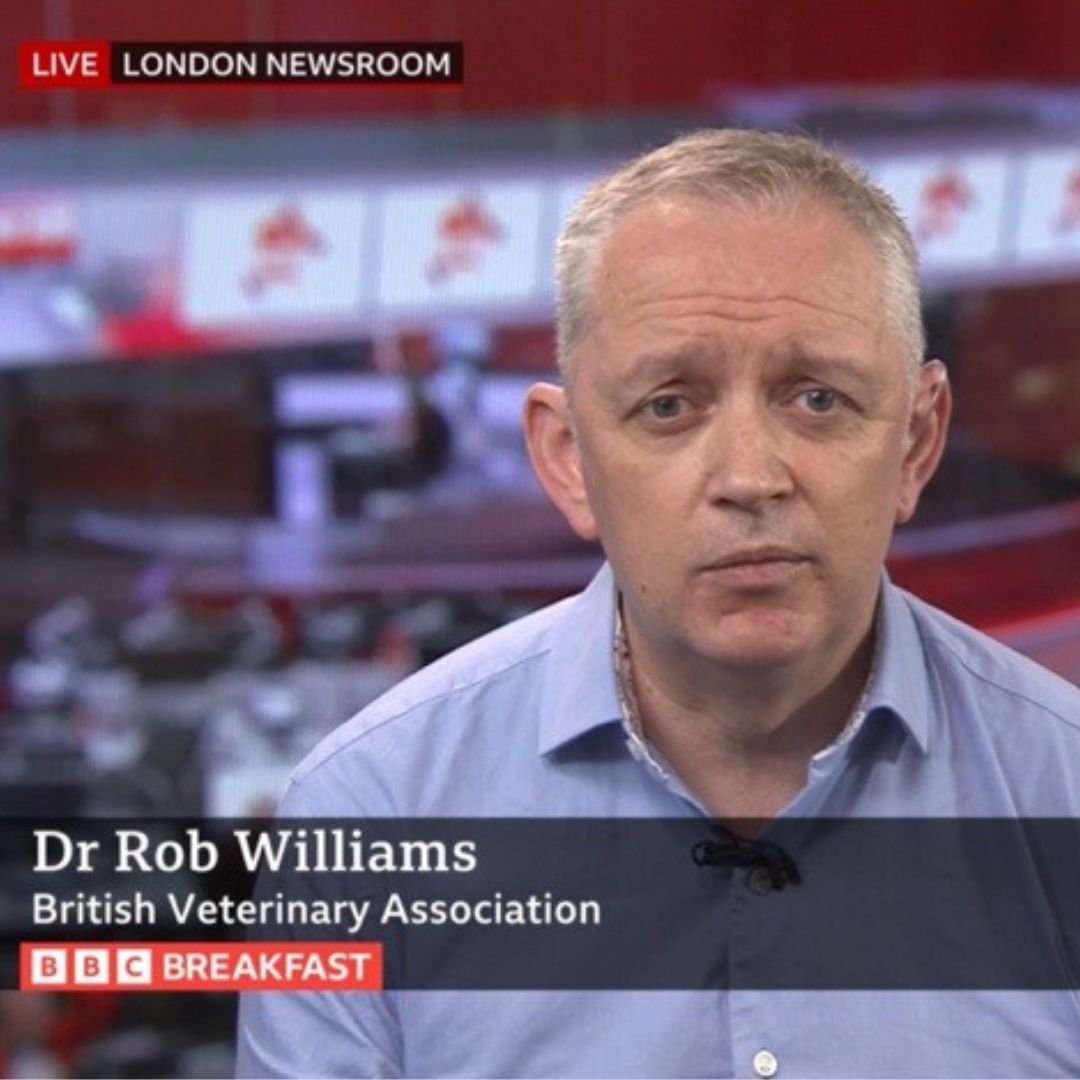 Your voice in the media Image