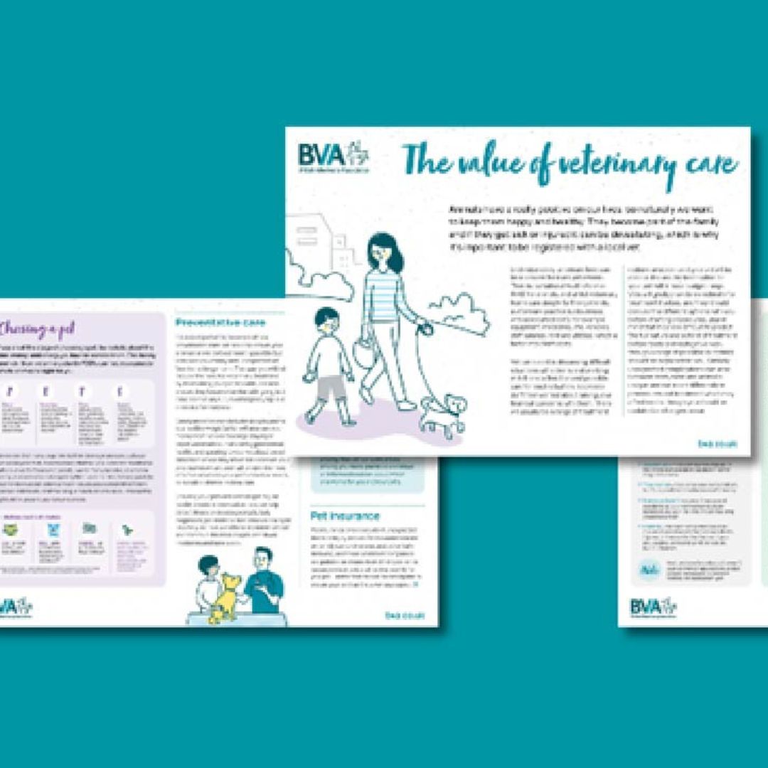 Your voice on professional issues Image