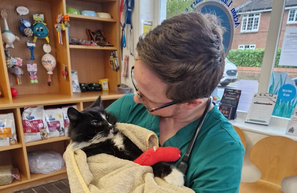 LGBT+ History Month 2026: Morgan Rook Listing Image