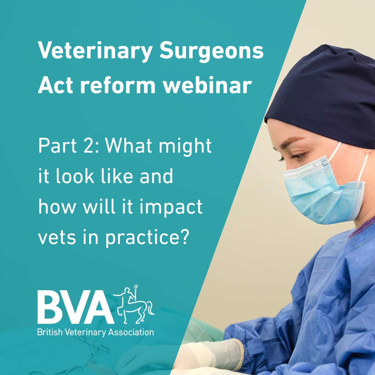 PART 2: Reforming the Veterinary Surgeons Act: what might it look like and how will it impact vets in practice? Image