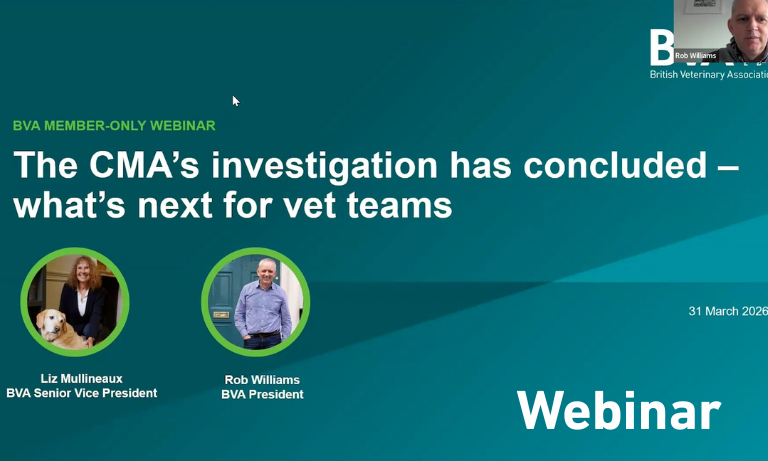 The CMA’s investigation has concluded – what’s next for vet teams Image