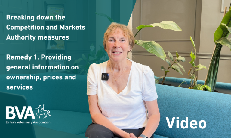 Breaking down the CMA’s measures | Providing general information on ownership, prices and services Image