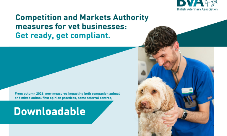 Competition and Markets Authority measures for vet businesses: Get ready, get compliant Image