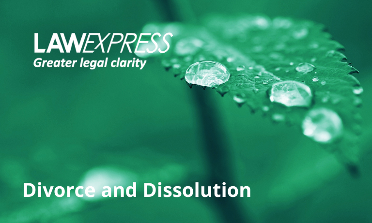 Divorce and Dissolution Image