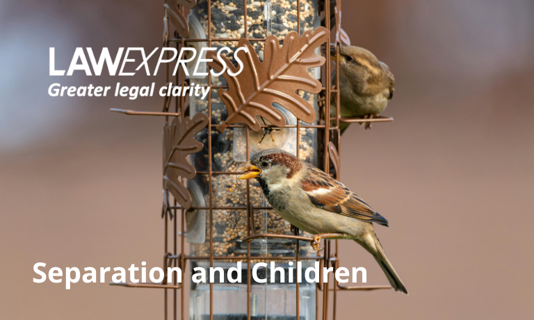 Separation and Children Image