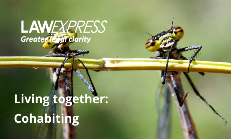 Cohabiting Image