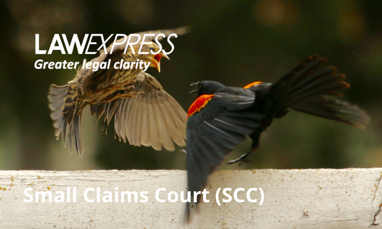 Small Claims Court (SCC) Image