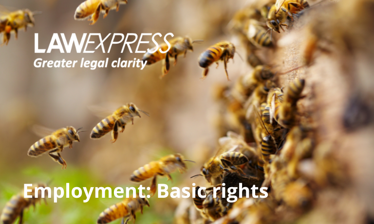 Employment: Basic rights Image