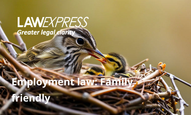 Employment law: Family friendly Image