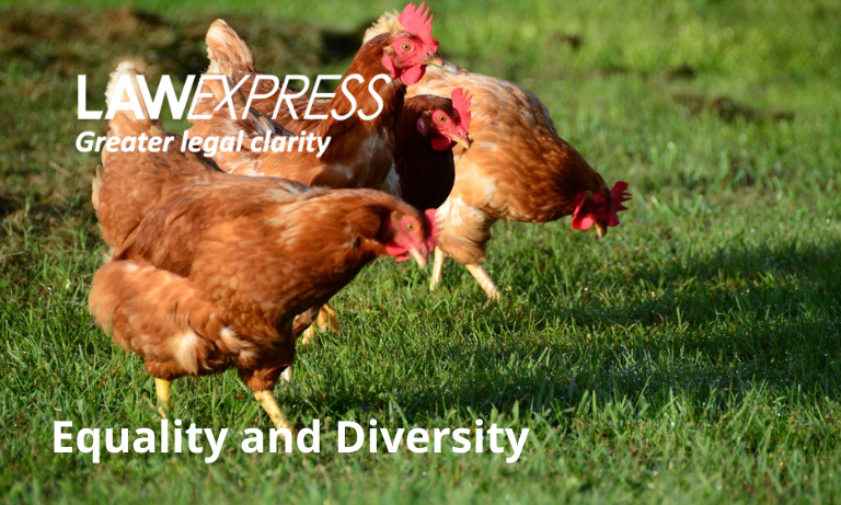 Equality and Diversity Image