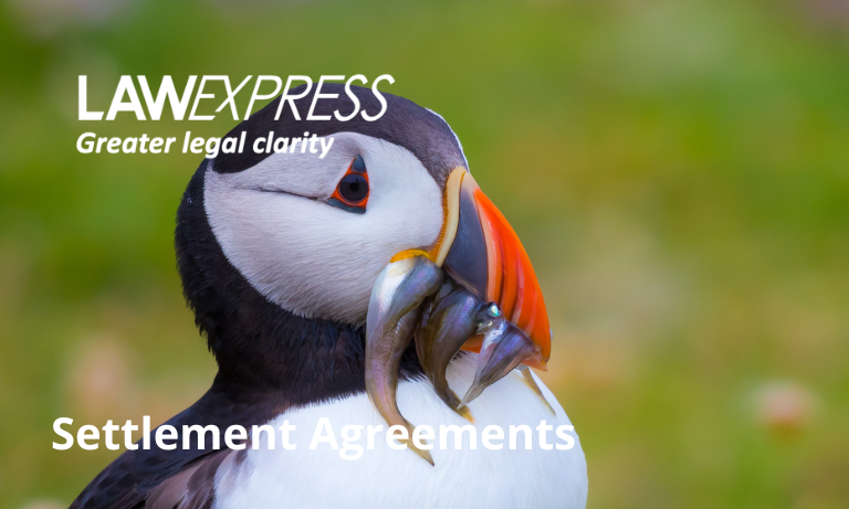 Settlement Agreements Image