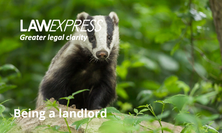 Being a landlord Image