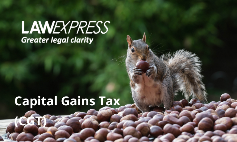 Capital Gains Tax (CGT) Image