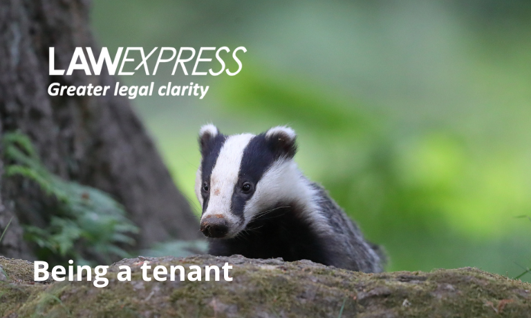 Being a tenant Image