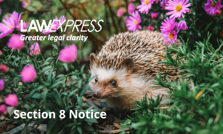 Section 8 Notice Image