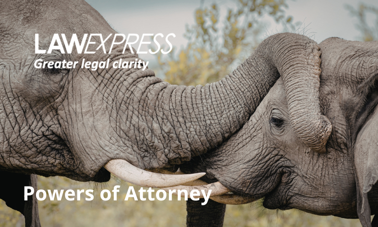 Powers of Attorney Image