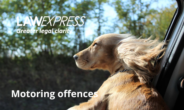 Motoring offences Image