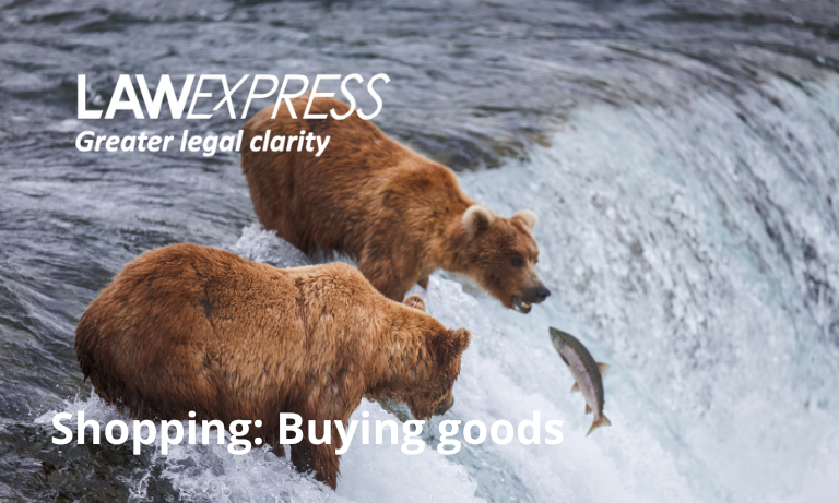 Shopping: Buying goods Image