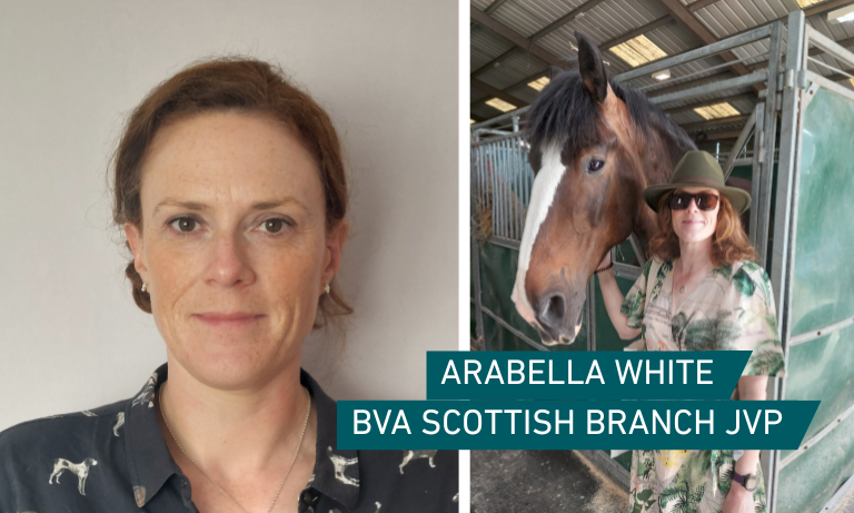 East Dunbartonshire vet named next President of British Veterinary Association Scottish Branch  Image