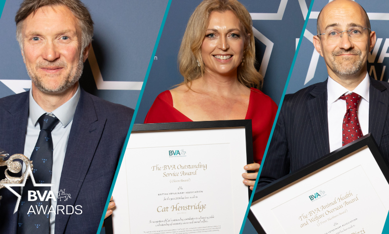 BVA presents outstanding vets with prestigious awards for exceptional achievements Listing Image