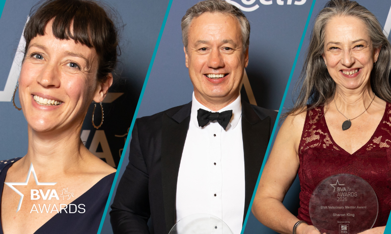 Inspiring vets recognised with new national awards Listing Image