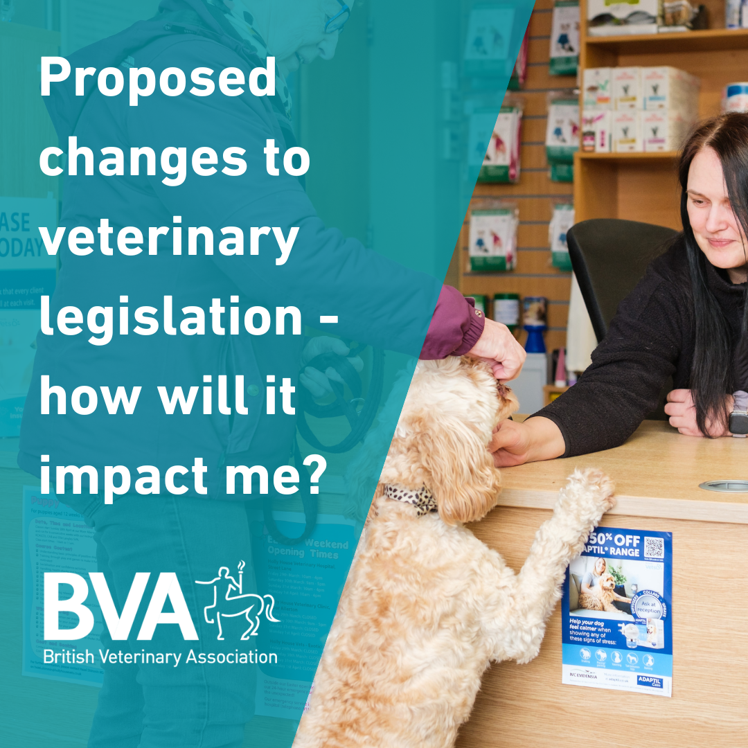 Proposed changes to veterinary legislation – how will it impact me? Image