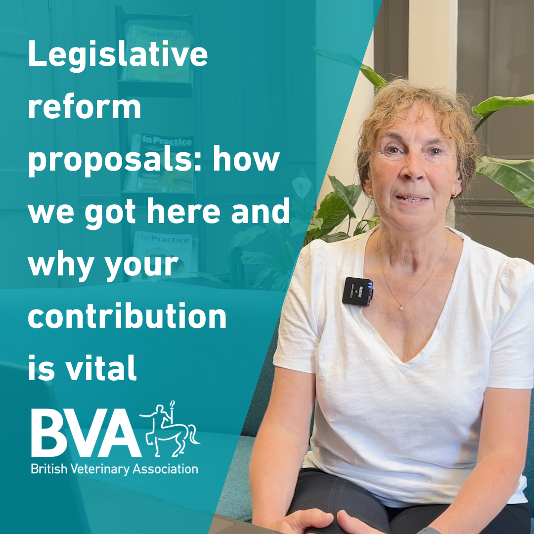 Legislative reform proposals: how we got here and why your contribution is vital Image