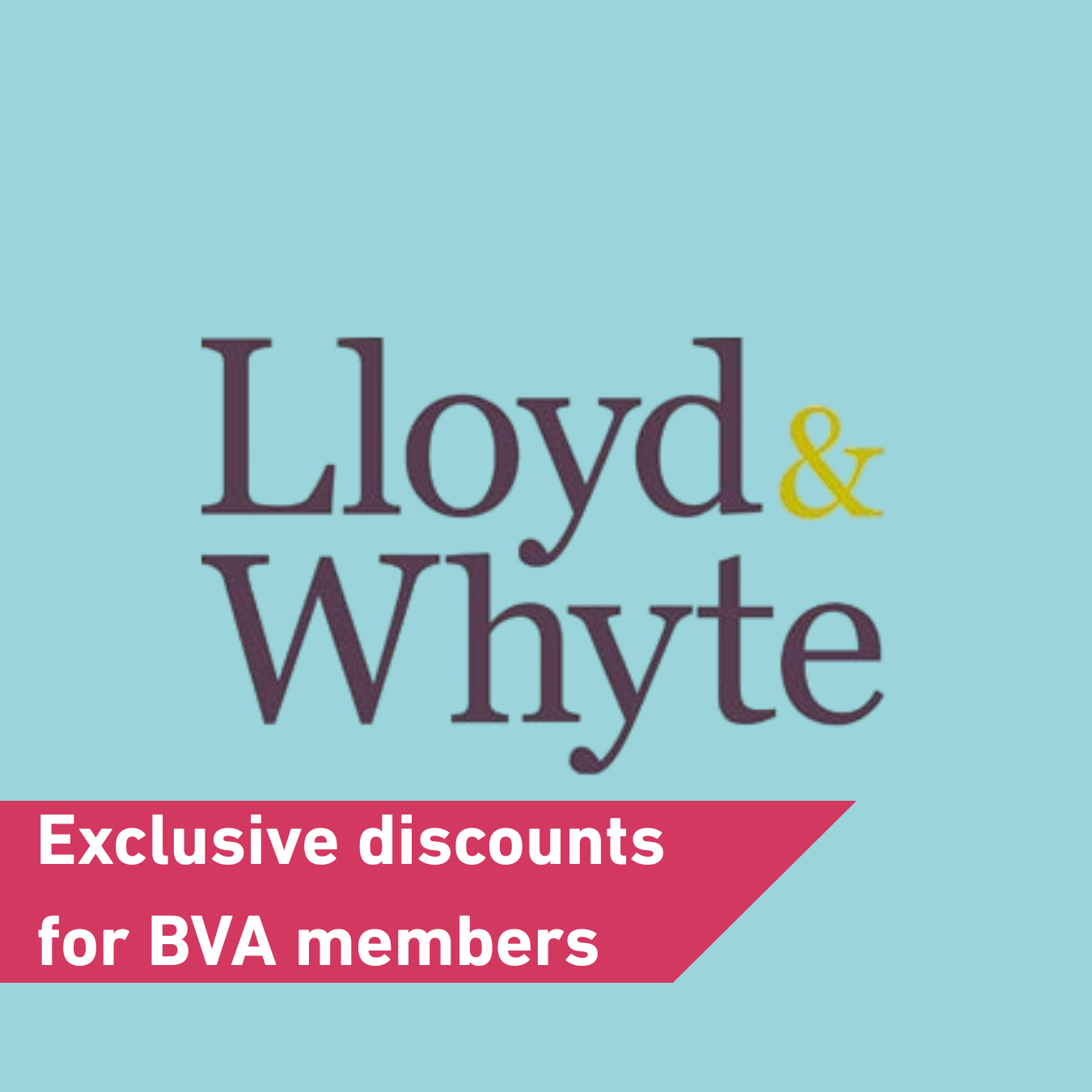 Insurance by Lloyd and Whyte Image