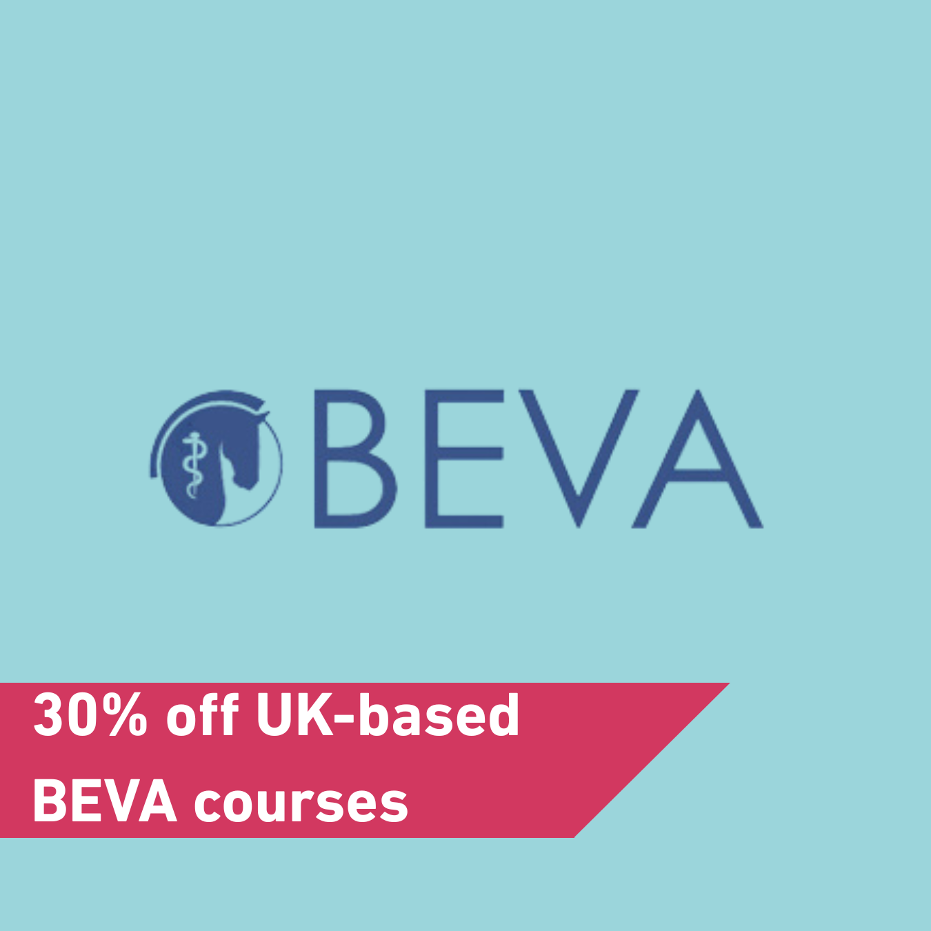 Equine courses from BEVA Image