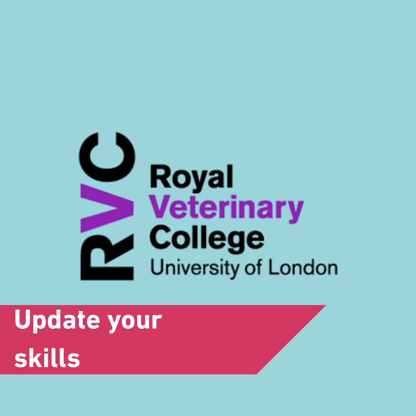 Update your skills with RVC Image