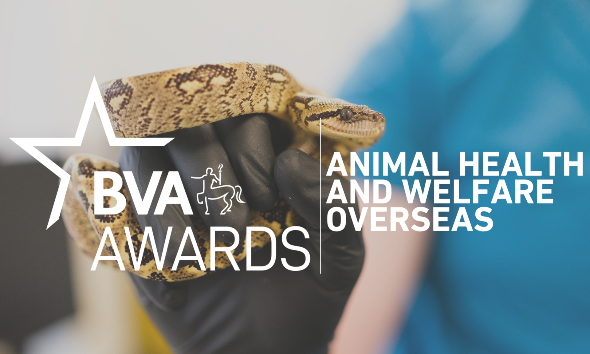 BVA Animal Health and Welfare Overseas Award (J. Trevor Blackburn Award)  Image