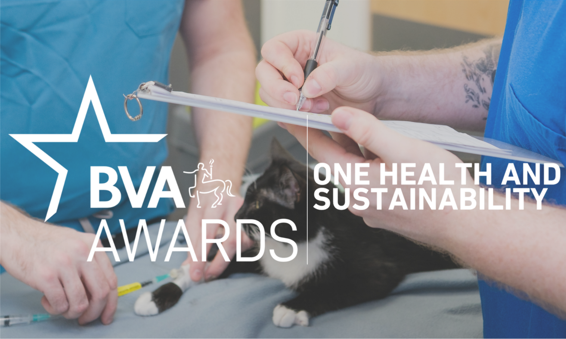 BVA One Health and Sustainability Award Image