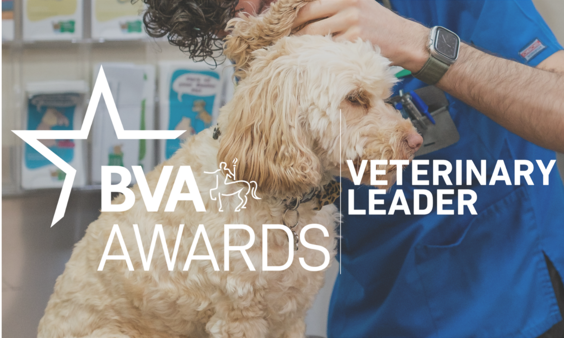 BVA Veterinary Leader Award  Image