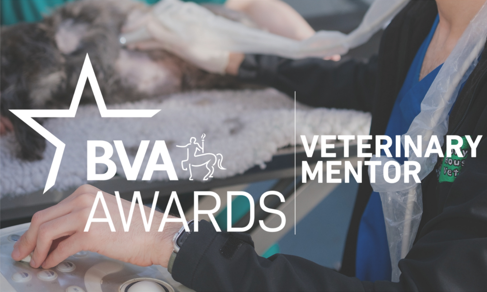 BVA Veterinary Mentor Award Image