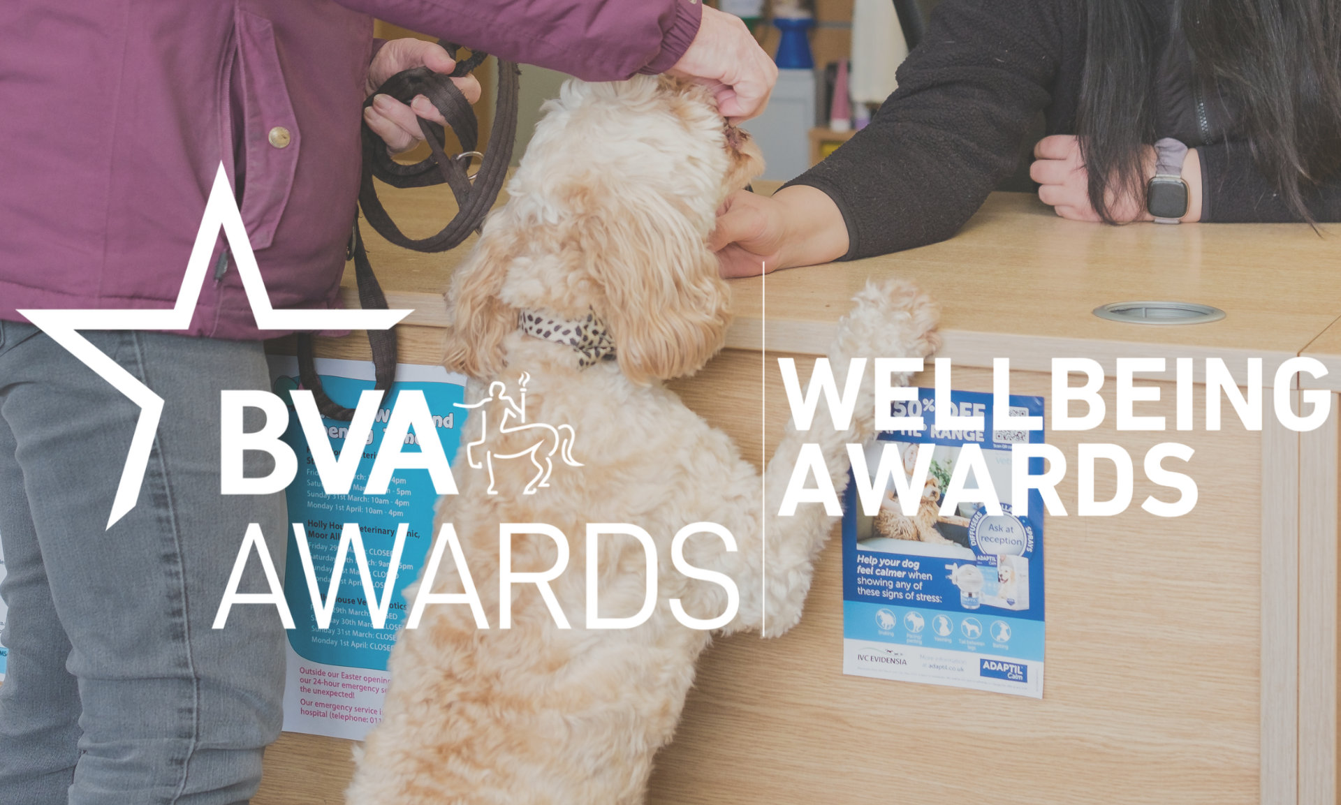 BVA Wellbeing Awards  Image