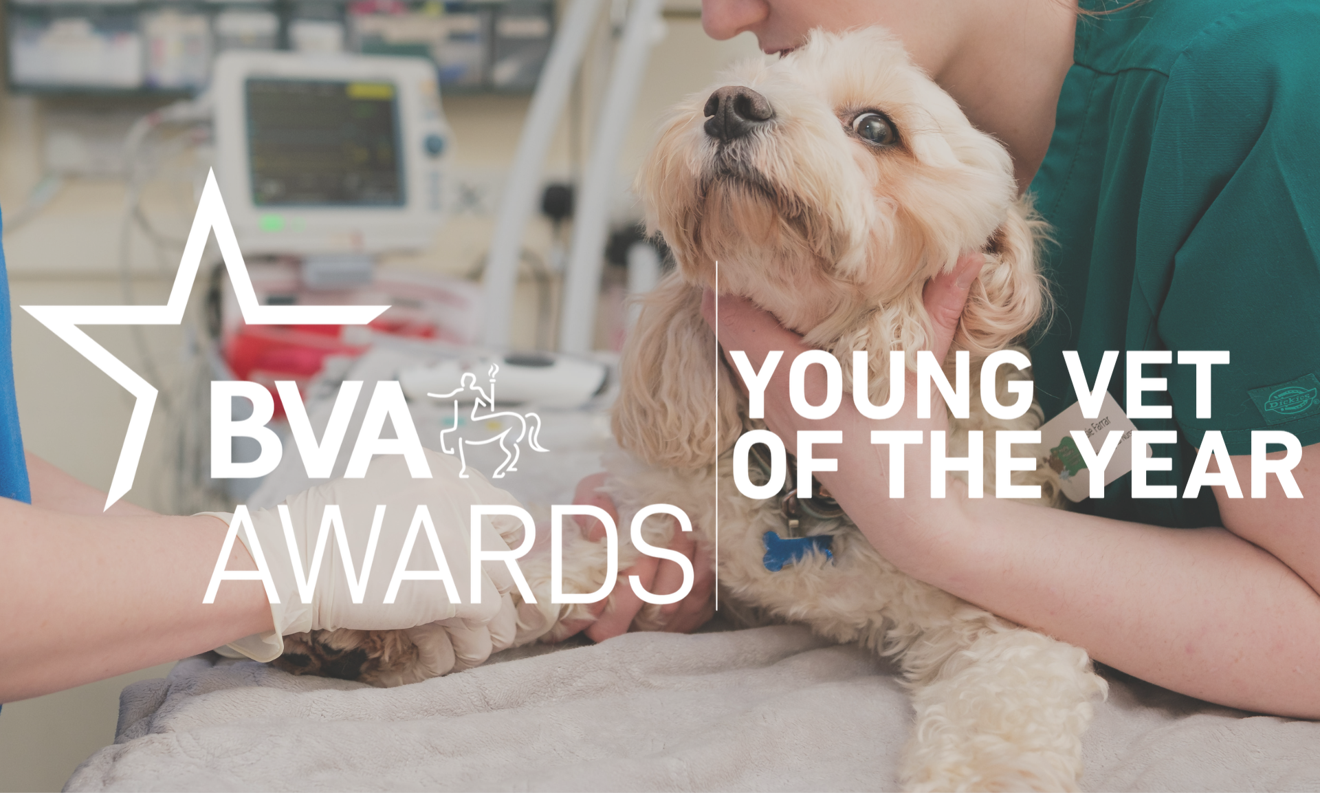 BVA Young Vet of the Year Image