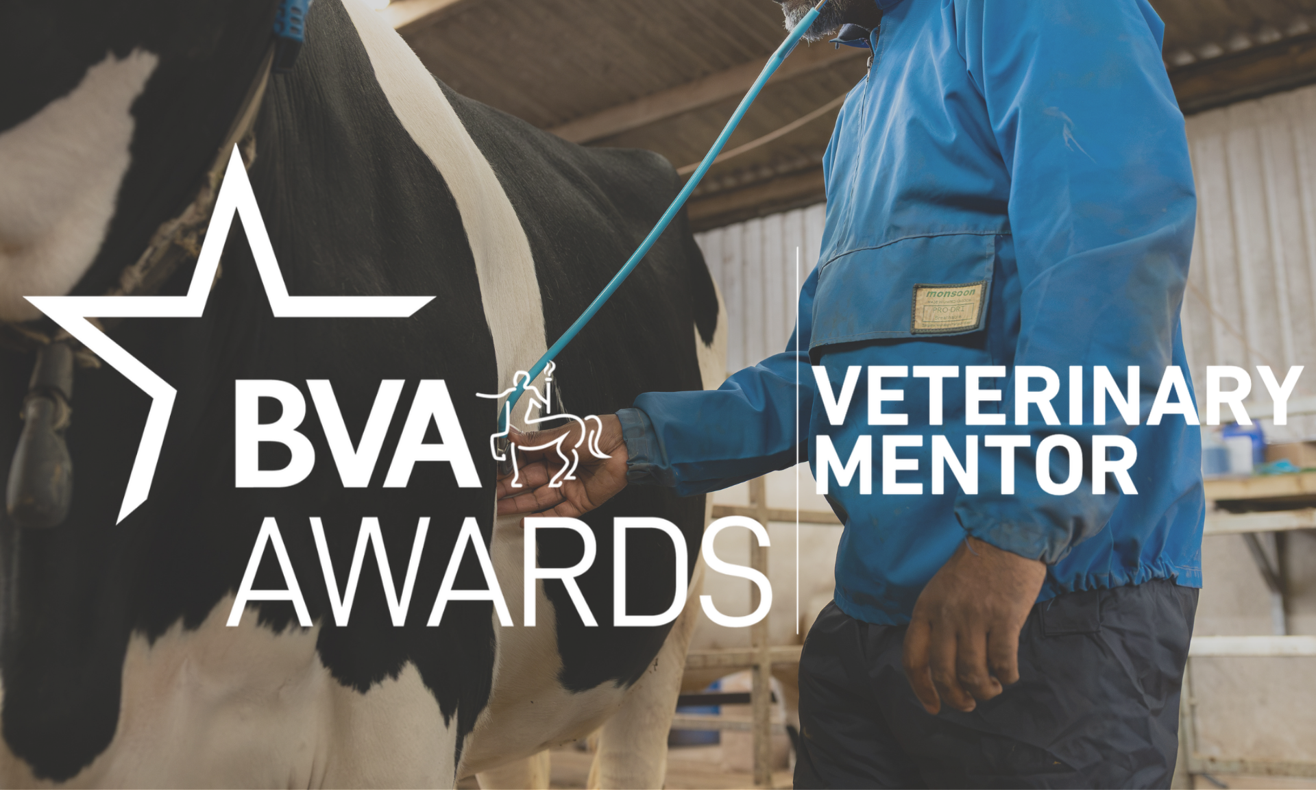 BVA Veterinary Mentor Award Image