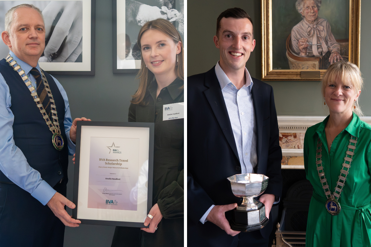 Celebrating inspirational BVA members making a difference Image