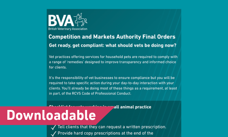 CMA Final Orders: Checklist for vets working in small animal practice Image