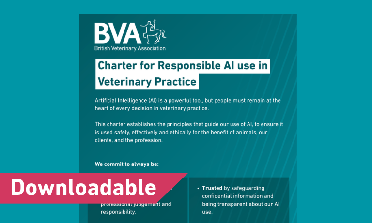Charter for Responsible AI use in Veterinary Practice Image